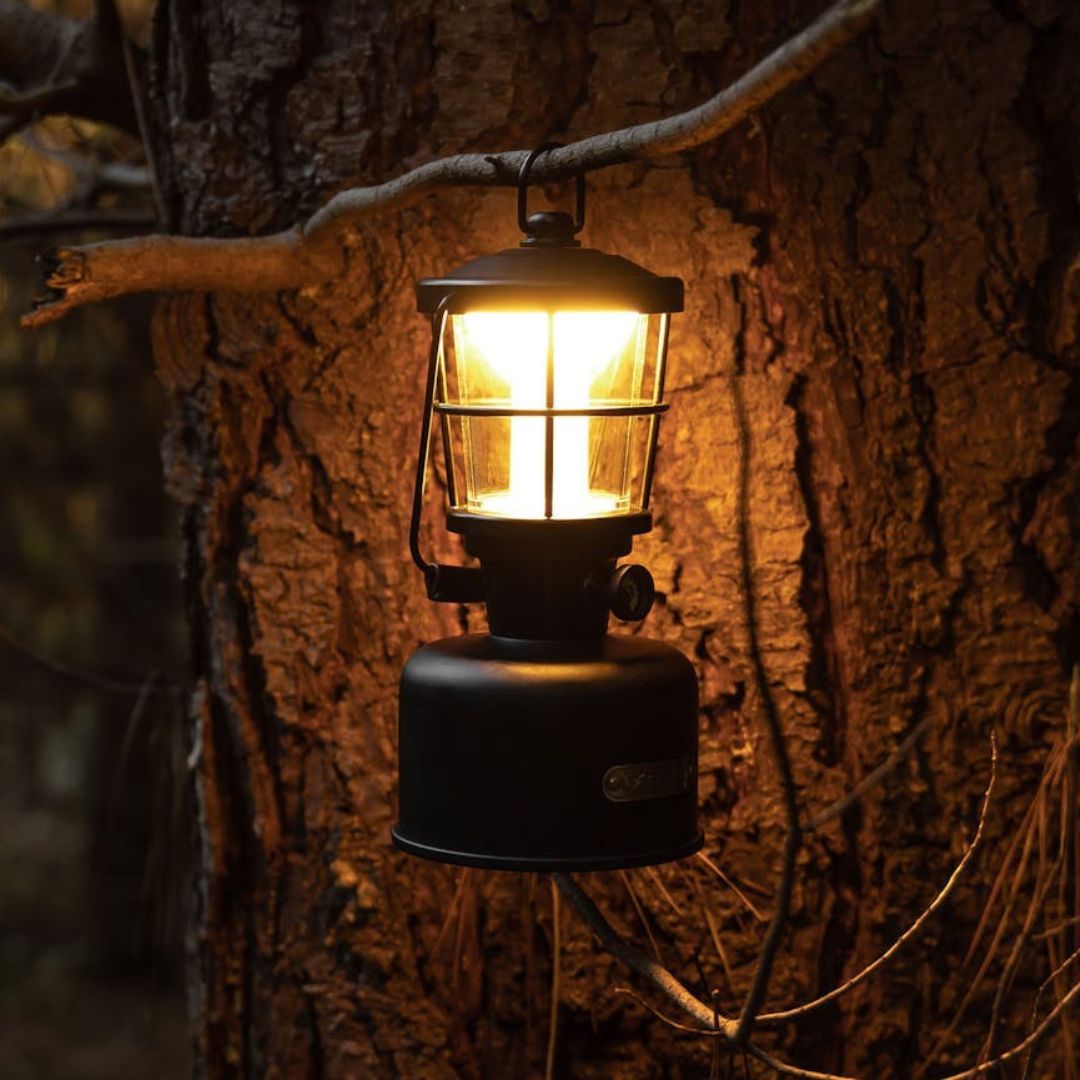 STEDI | STELLA LANTERN